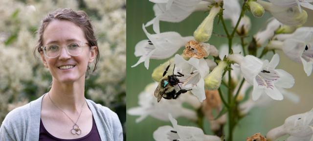 Jenny Van Wyk and a bee on white flowers