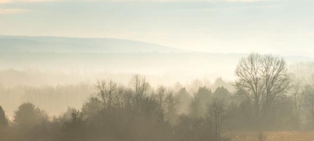 Hampshire meadow landscape March 2019