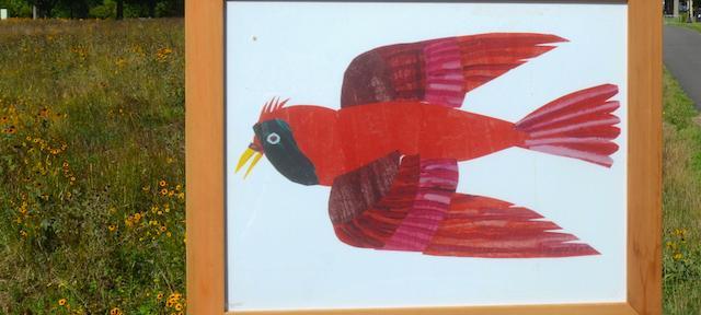 Eric Carle's Red Bird Illustration