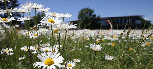 hampshire  college r.w. kern