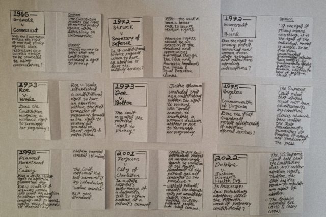 Phoebe Chen's Div II. Hand written notes on landmark reproductive rights cases.