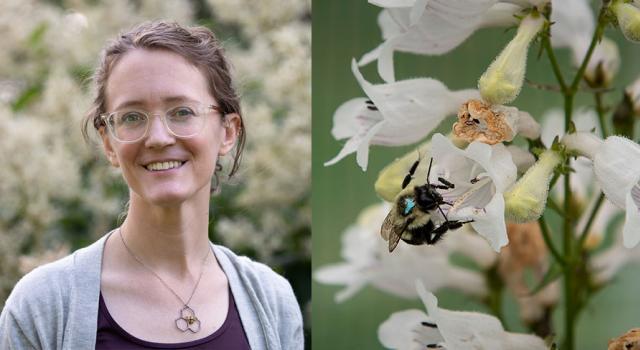 Jenny Van Wyk and a bee on white flowers