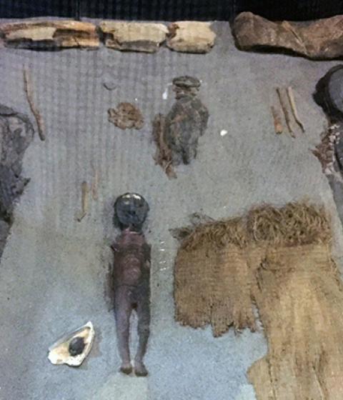 Ancient Mummies Studied by Professor of Chemistry Dula Amarasiriwardena 